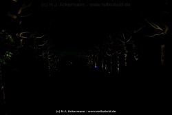 fotografie-144