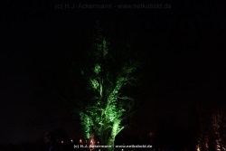 fotografie-156