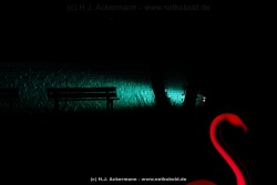 fotografie-4