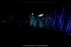fotografie-38