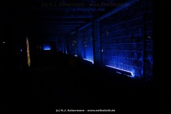 fotografie-10