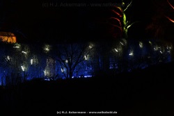 fotografie-11