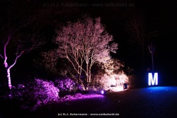 fotografie-22