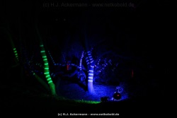 fotografie-25