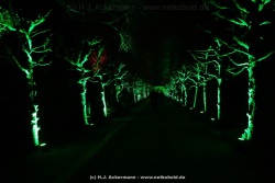 fotografie-30