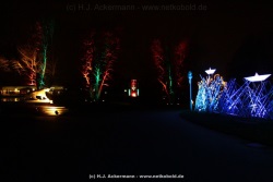 fotografie-41
