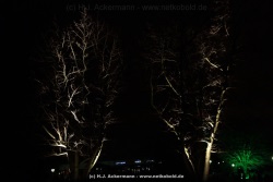 fotografie-114