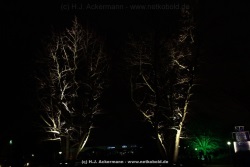 fotografie-195