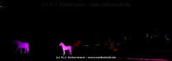 fotografie-63