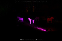 fotografie-18