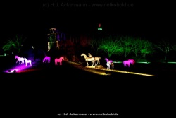 fotografie-10