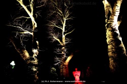 fotografie-84