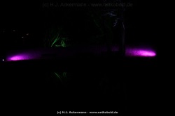 fotografie-162