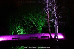 fotografie-17