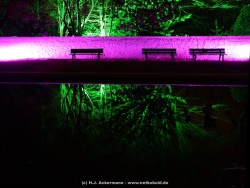 fotografie-4