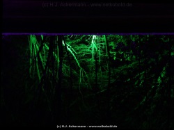 fotografie-8