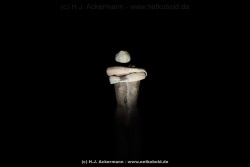 fotografie-54