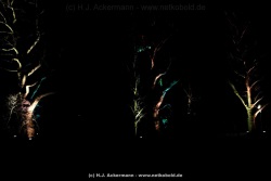 fotografie-4