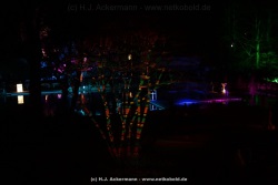 fotografie-158