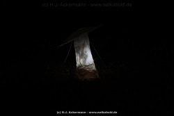 fotografie-147