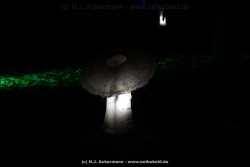 fotografie-66