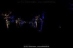 fotografie-6
