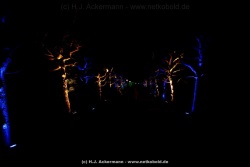 fotografie-38