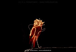 fotografie-165