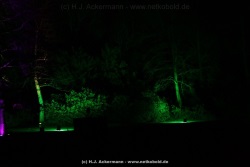 fotografie-123