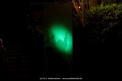 fotografie-56