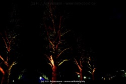 fotografie-30