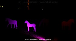fotografie-185