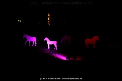 fotografie-125