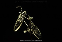 fotografie-19