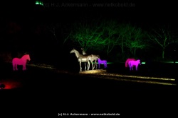 fotografie-1