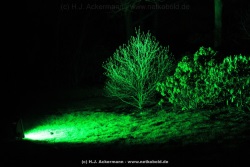 fotografie-4