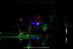fotografie-40