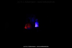 fotografie-65