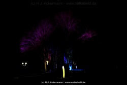 fotografie-84