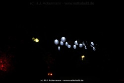 fotografie-142