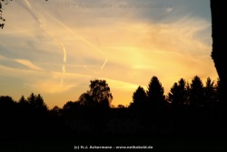 fotografie-140