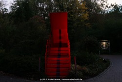 fotografie-9