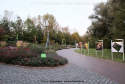 fotografie-47
