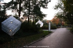 fotografie-76