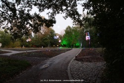 fotografie-55