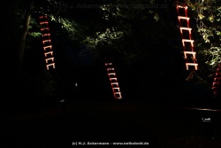 fotografie-56