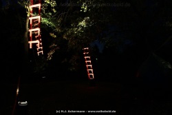 fotografie-171