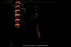 fotografie-42