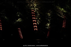 fotografie-54