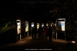 fotografie-16
